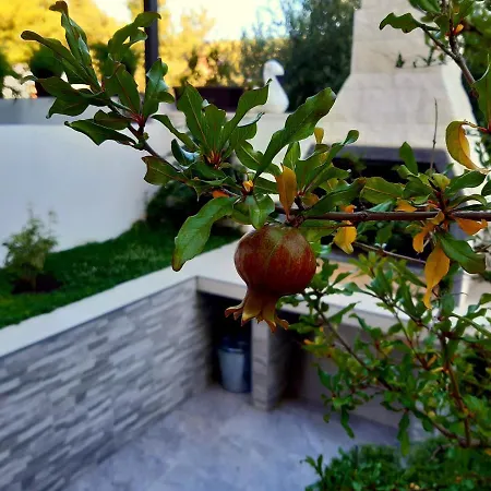 شقة Zunabovic تروغير